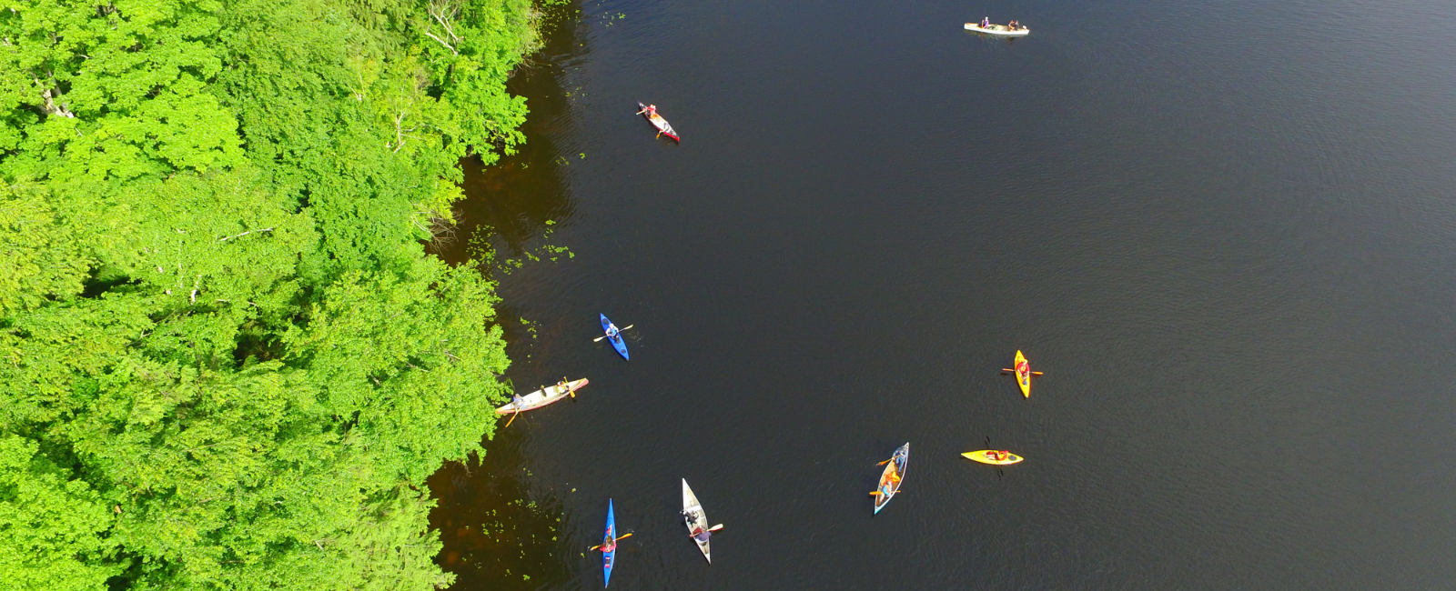 Arial views of canoes and kayaks on Head Lake in Haliburton. Left side of image has vibrant green trees, there are two yellow kayaks, two blue kayaks and three canoes.